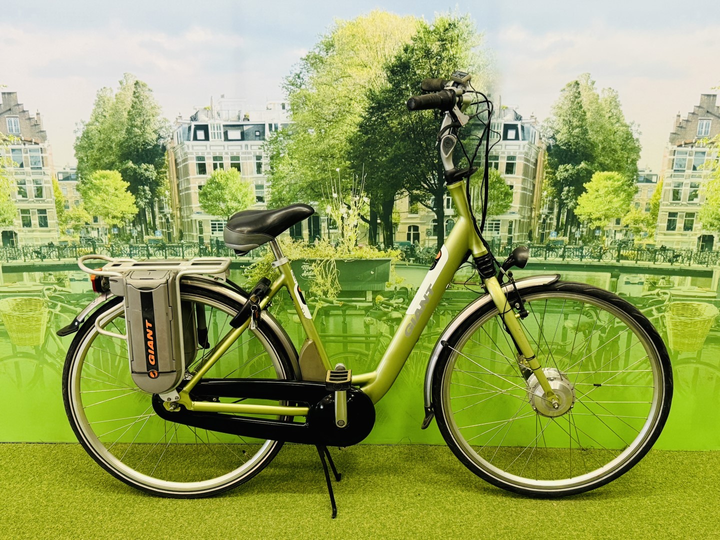 Giant Twist Elektrische Damesfiets Ebike Groothandel